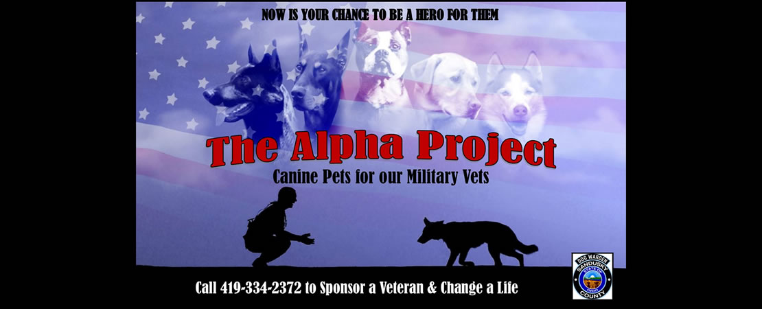 The Alpha Project