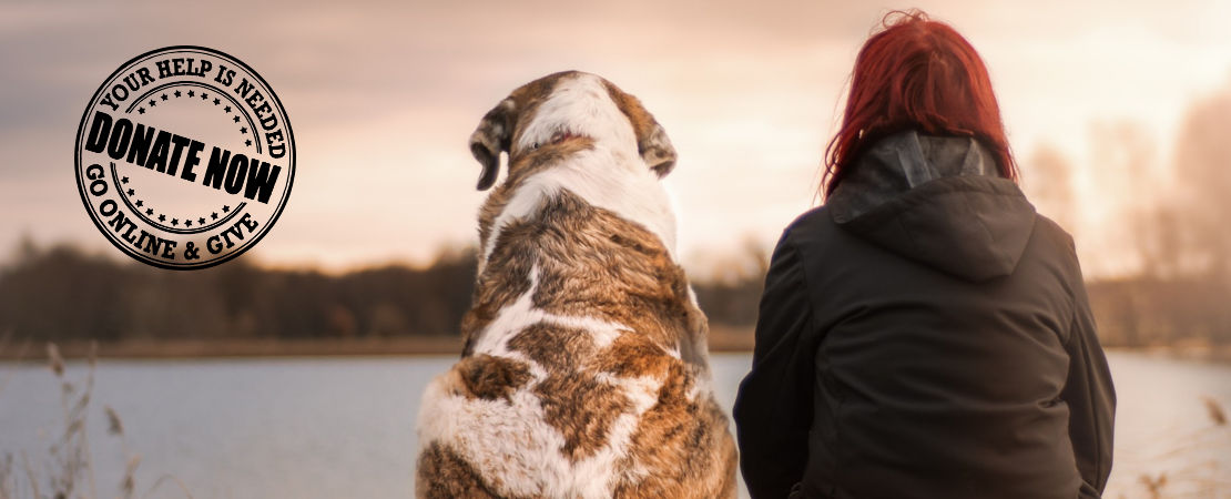 Donate to the Sandusky County Dog Shelter